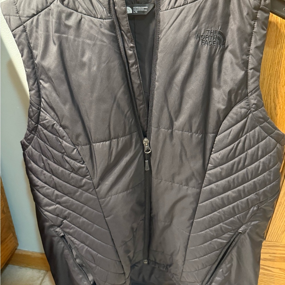 The NorthFace Vest